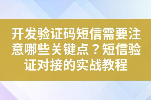 開(kāi)發(fā)驗(yàn)證碼短信需要注意哪些關(guān)鍵點(diǎn)？短信驗(yàn)證對(duì)接的實(shí)戰(zhàn)教程